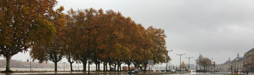 Touban Regénération au service des gazons du tram bordelais