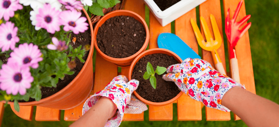 la grande jaugue jardin printemps