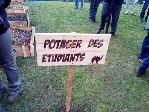 La Grande Jaugue participe au potager des étudiants