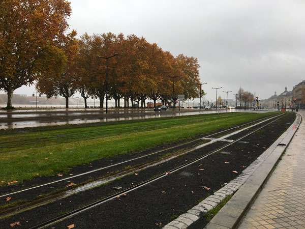 Touban Regénération est au service des gazons du tram bordelais La Grande Jaugue